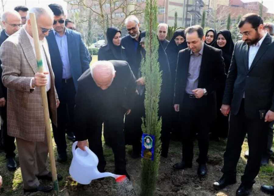 کاشت ۳۲ هزار نهال در مراکز درمانی و بهداشتی مازندران